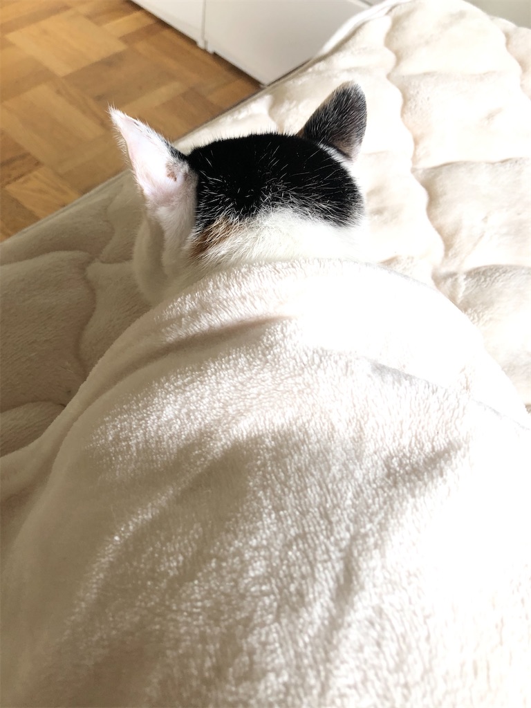 f:id:worldtrip216:20201018193645j:image