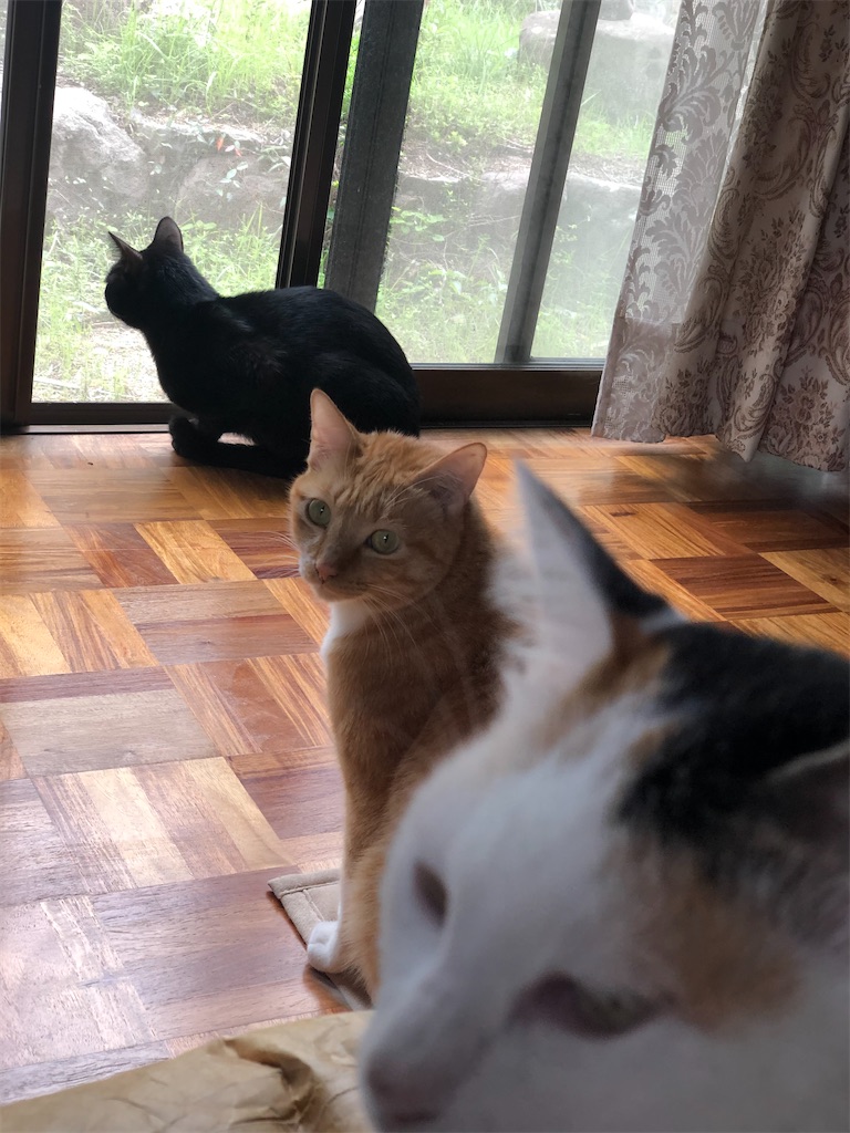 f:id:worldtrip216:20201019190419j:image
