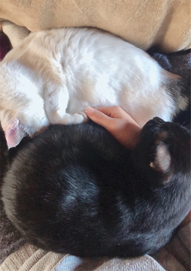 f:id:worldtrip216:20201021191514j:image