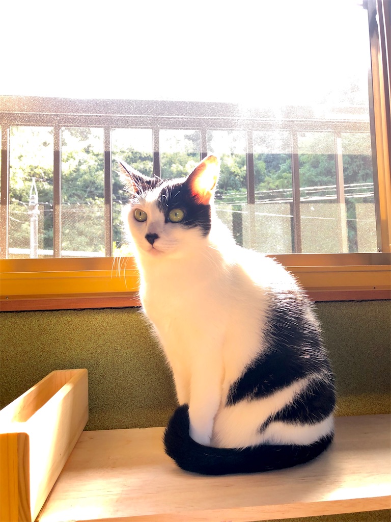 f:id:worldtrip216:20201021191544j:image