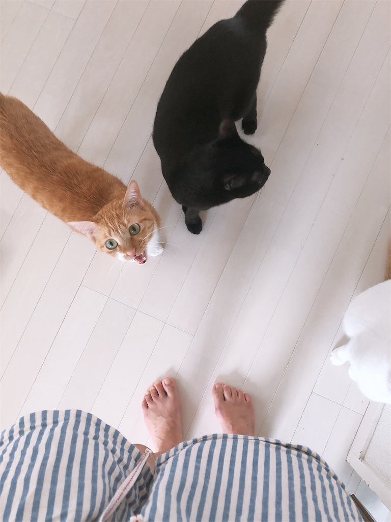 f:id:worldtrip216:20201105211014j:image