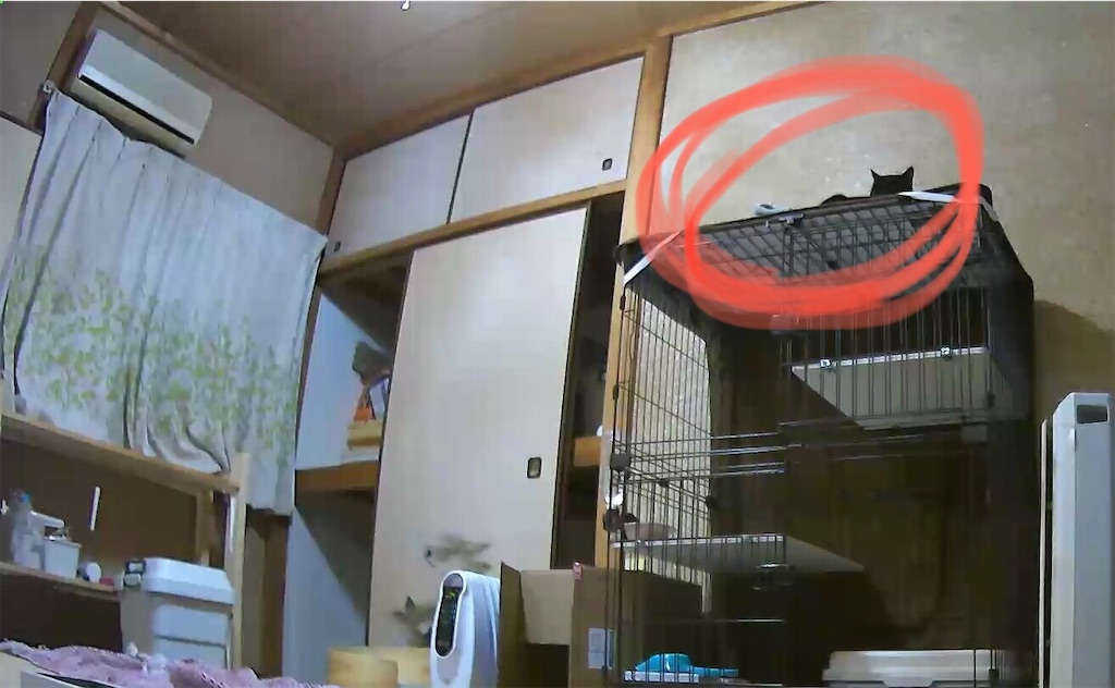 f:id:worldtrip216:20201211182256j:image