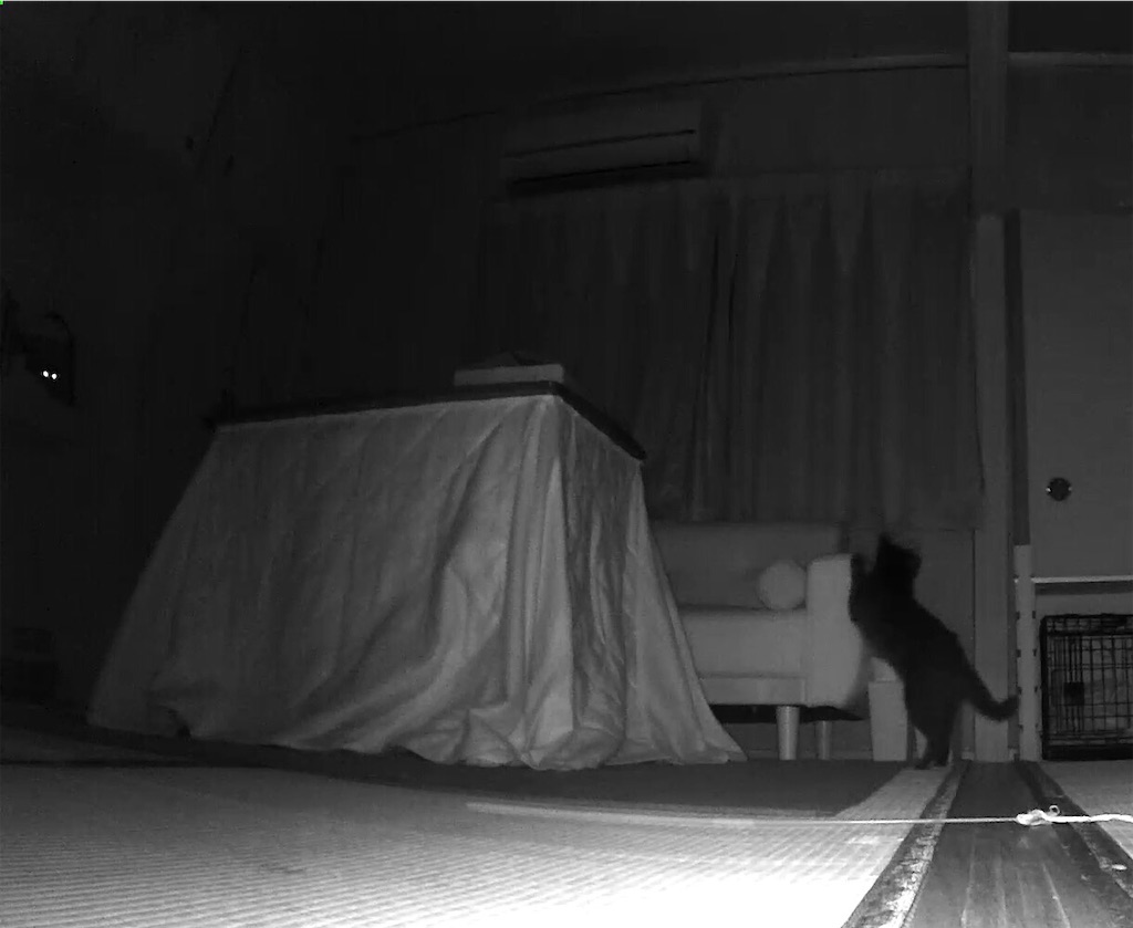 f:id:worldtrip216:20201212185121j:image