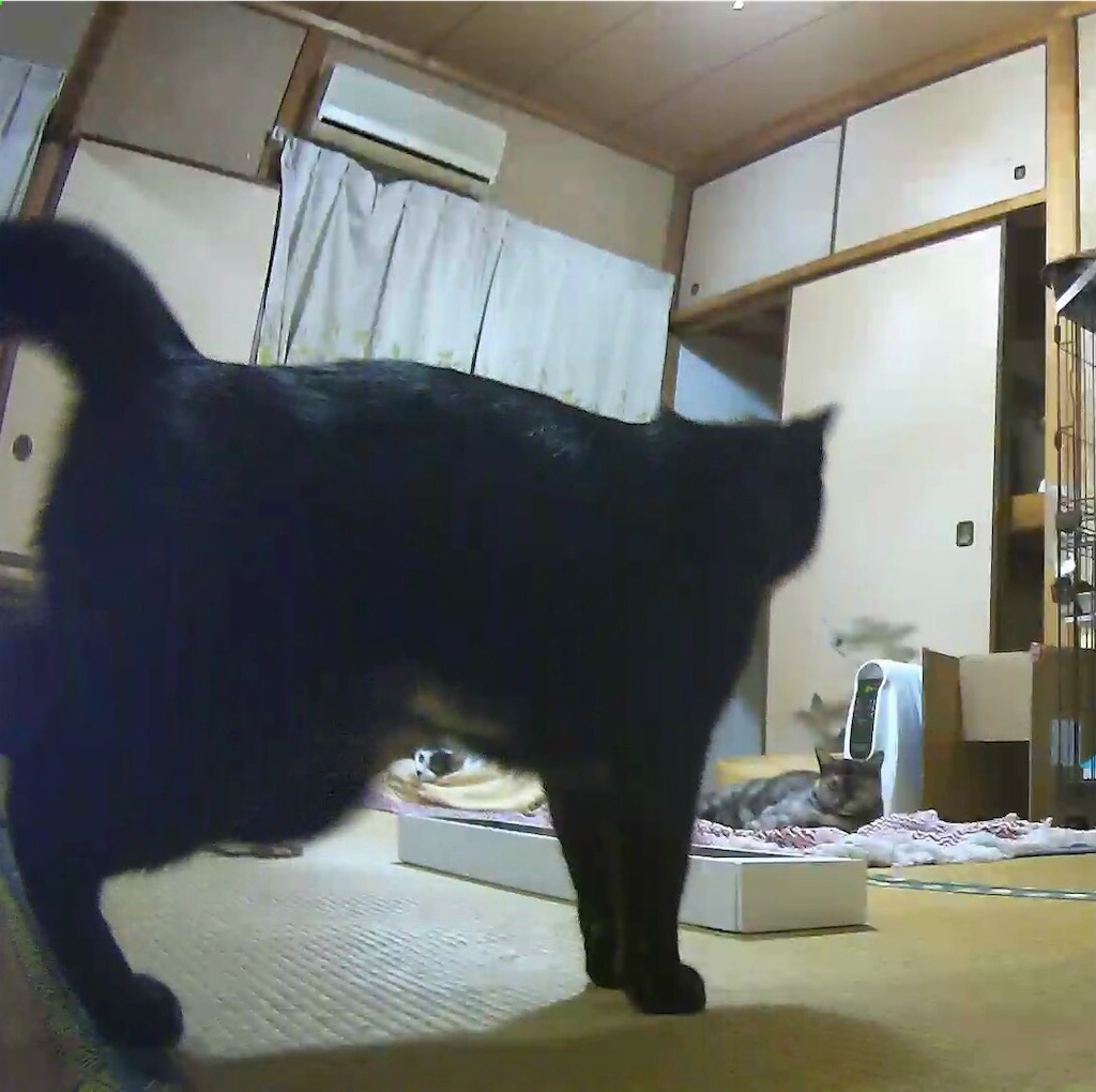 f:id:worldtrip216:20201212191107j:image