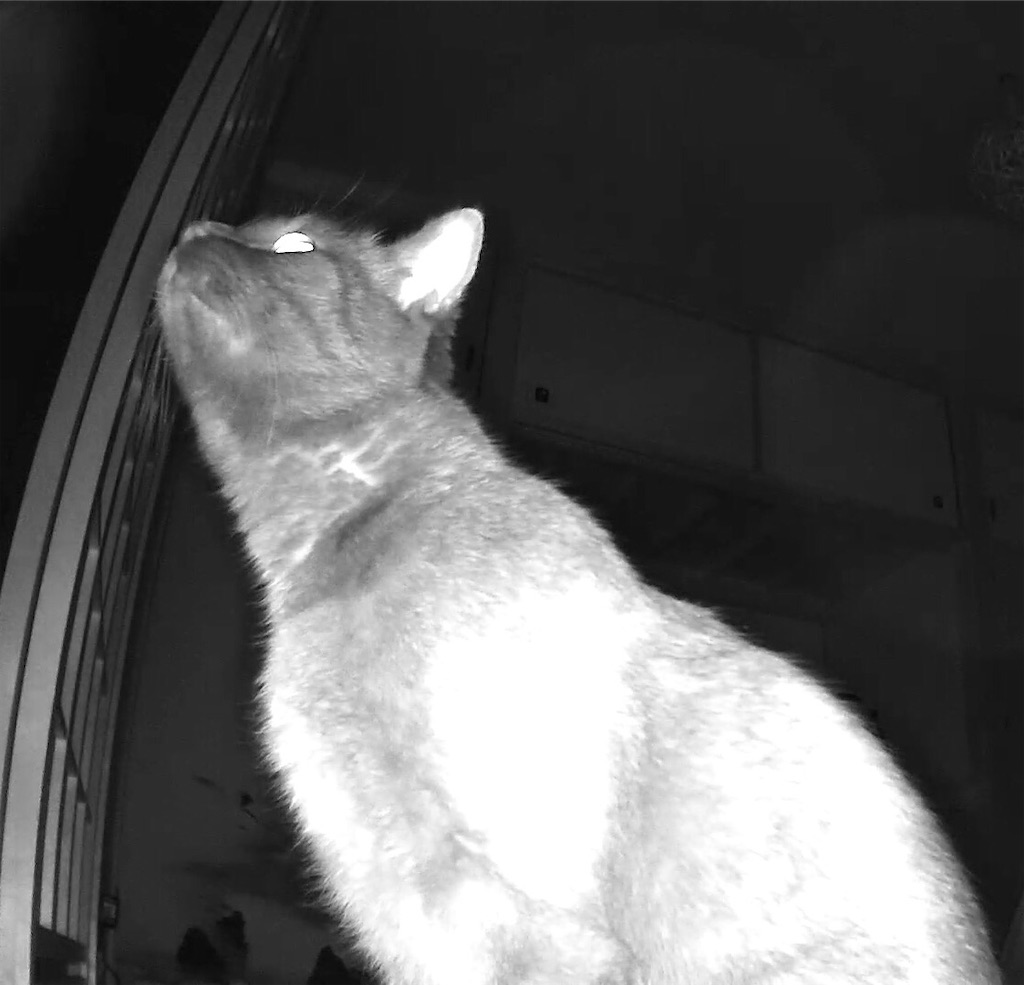 f:id:worldtrip216:20201213181752j:image f:id:worldtrip216:20201213181752j:image