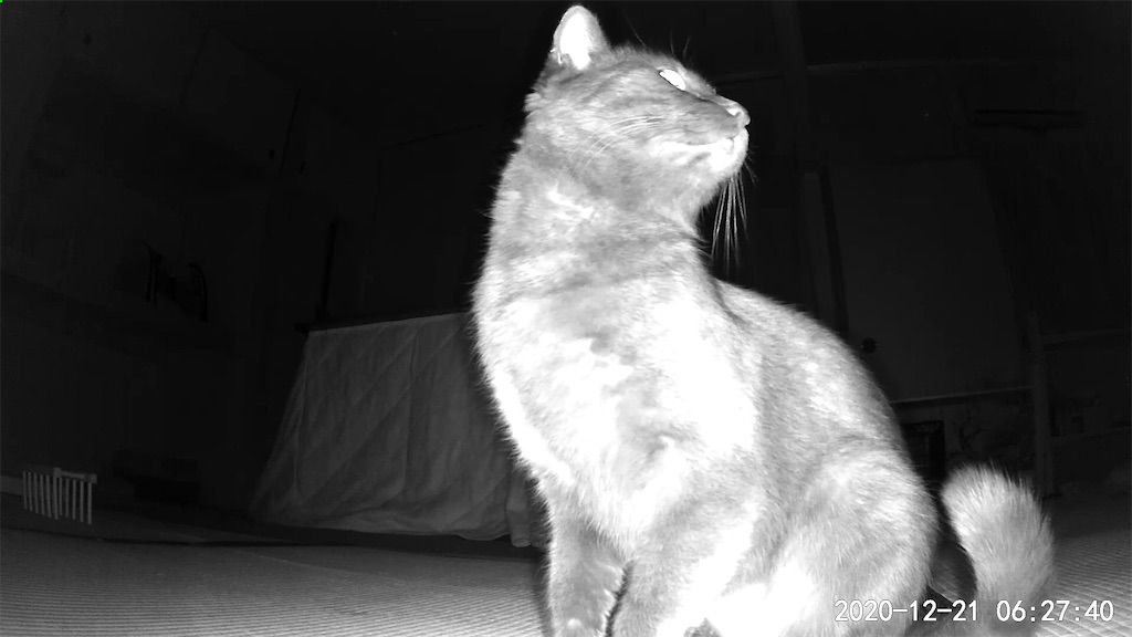 f:id:worldtrip216:20201221200623j:image