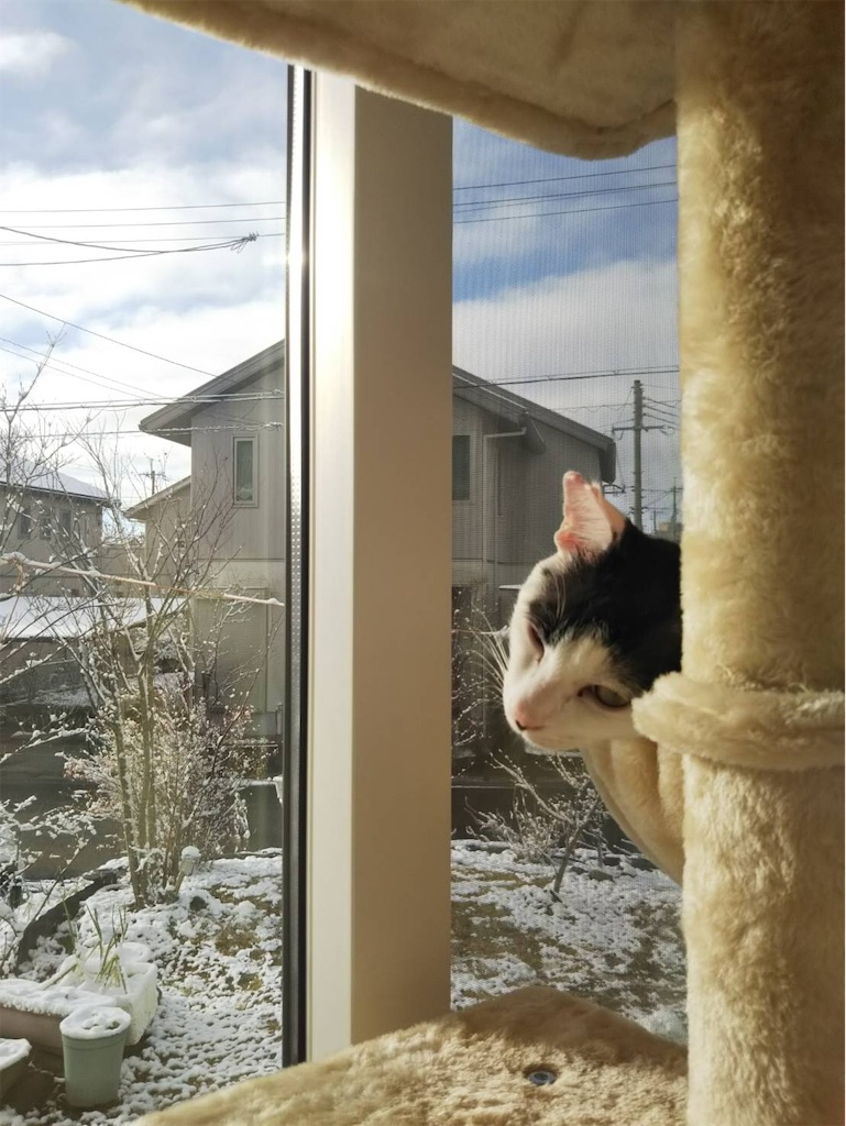 f:id:worldtrip216:20201231095632j:image f:id:worldtrip216:20201231095632j:image