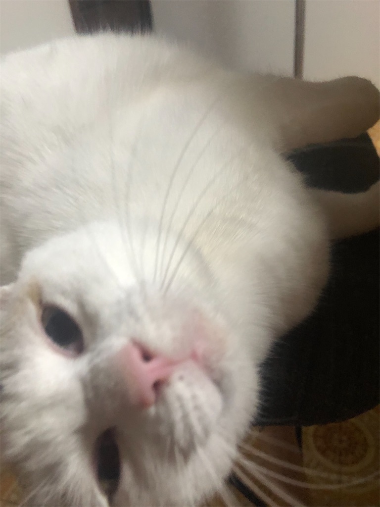f:id:worldtrip216:20210111201433j:image