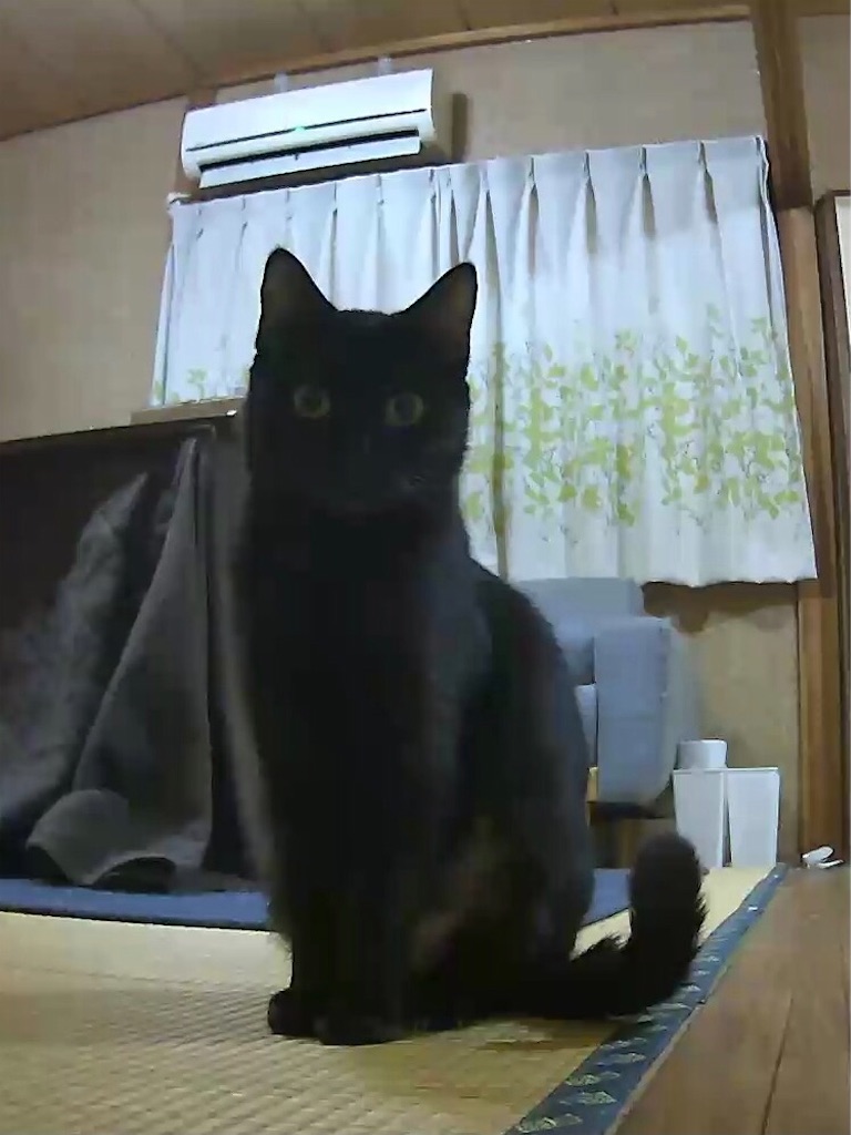 f:id:worldtrip216:20210120203742j:image f:id:worldtrip216:20210120203742j:image