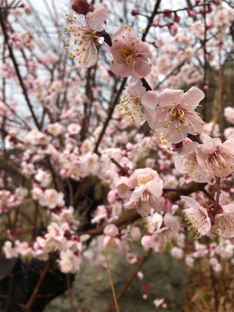 f:id:worldtrip216:20210302190914j:image