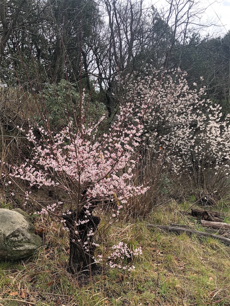 f:id:worldtrip216:20210302191102j:image