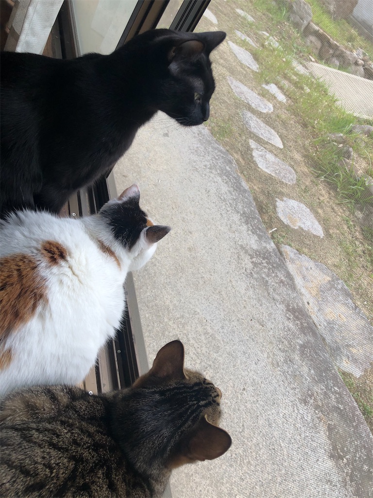 f:id:worldtrip216:20210302193126j:image