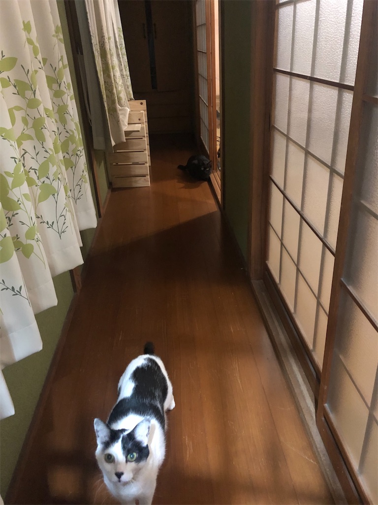 f:id:worldtrip216:20210311192322j:plain