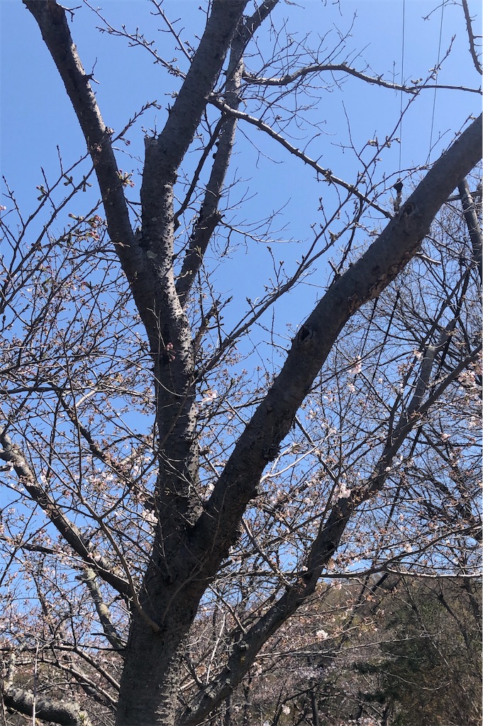 f:id:worldtrip216:20210325191756j:plain