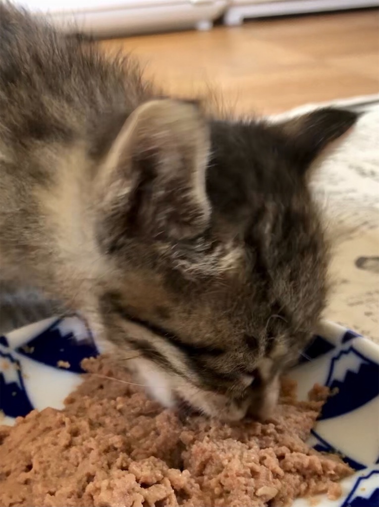 f:id:worldtrip216:20210509152135j:image f:id:worldtrip216:20210509152135j:image