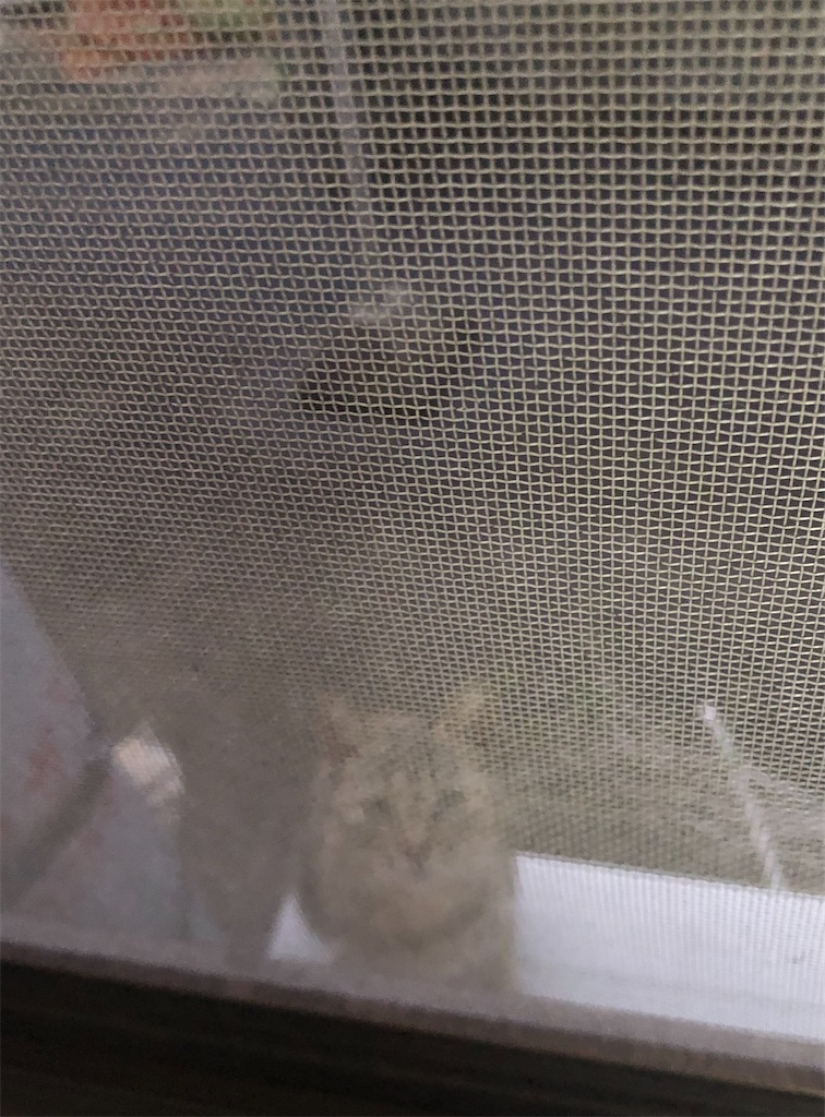 f:id:worldtrip216:20210903193118j:image