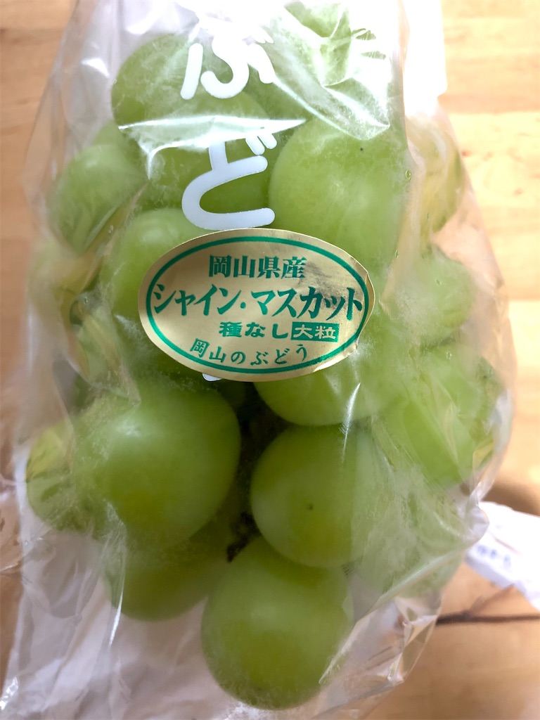 f:id:worldtrip216:20210913143141j:image