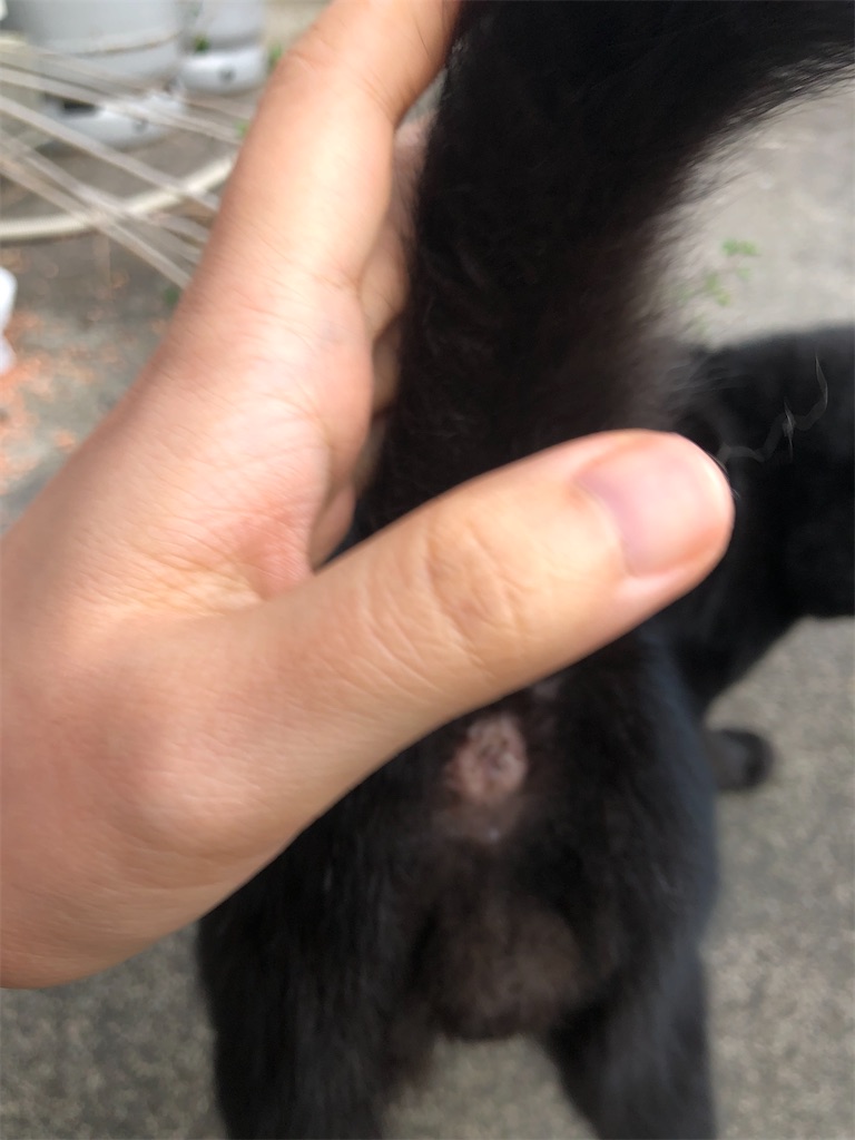 f:id:worldtrip216:20210920173947j:image