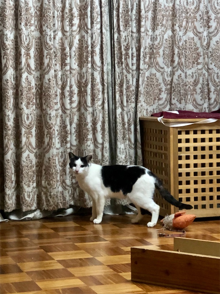 f:id:worldtrip216:20211110193536j:image