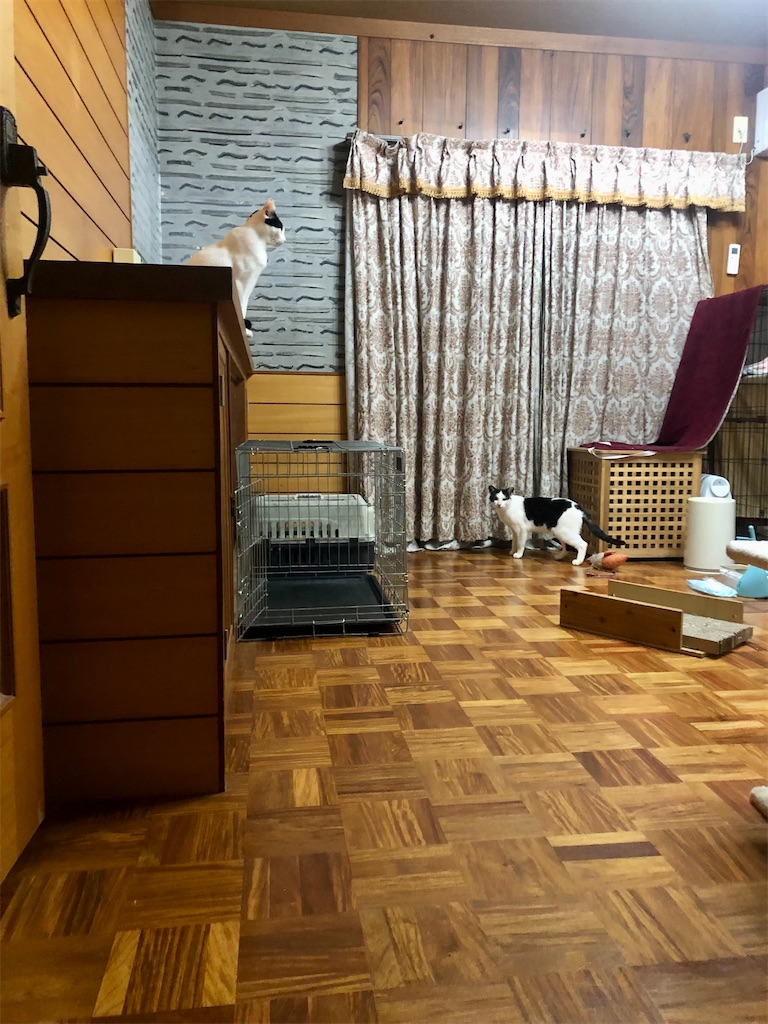 f:id:worldtrip216:20211110193713j:image