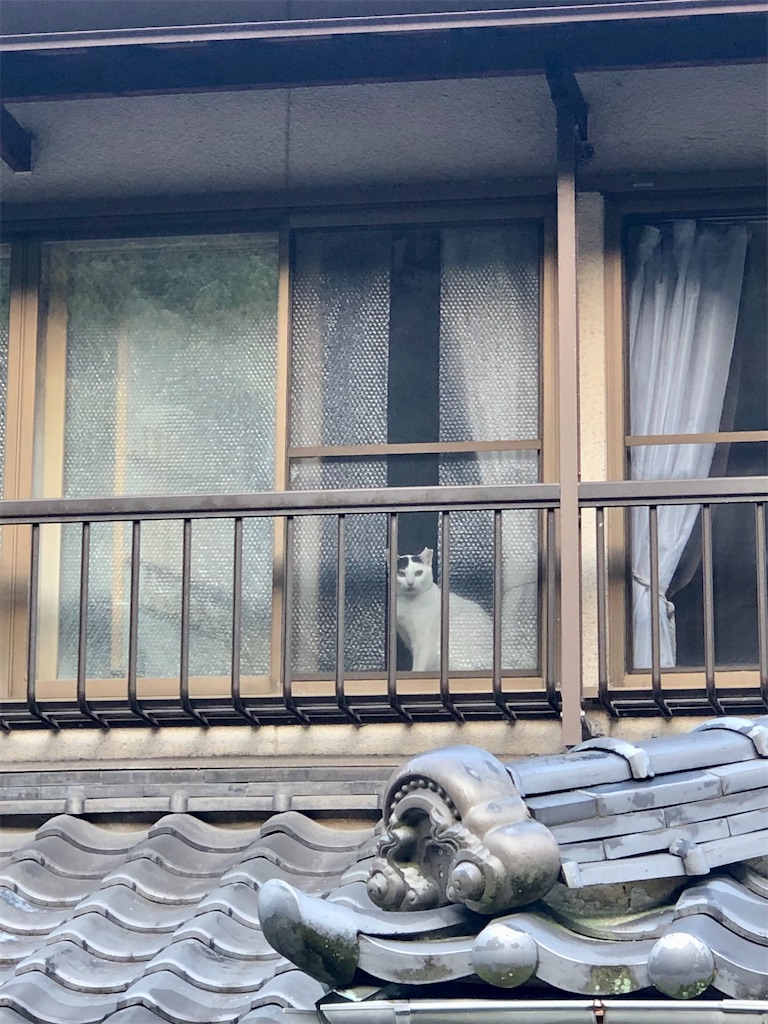 f:id:worldtrip216:20211119093813j:image