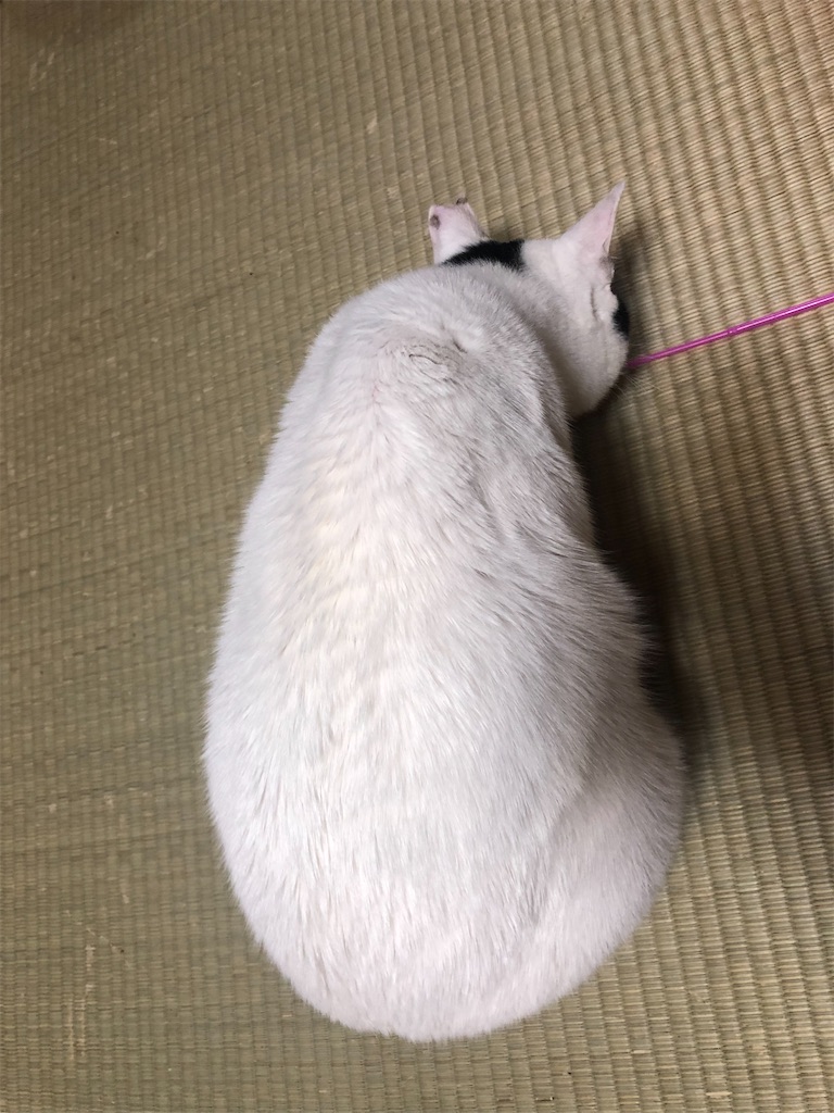 f:id:worldtrip216:20220126204215j:image f:id:worldtrip216:20220126204215j:image