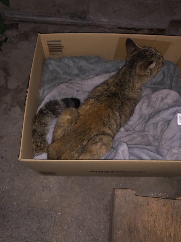 f:id:worldtrip216:20221012202525j:image