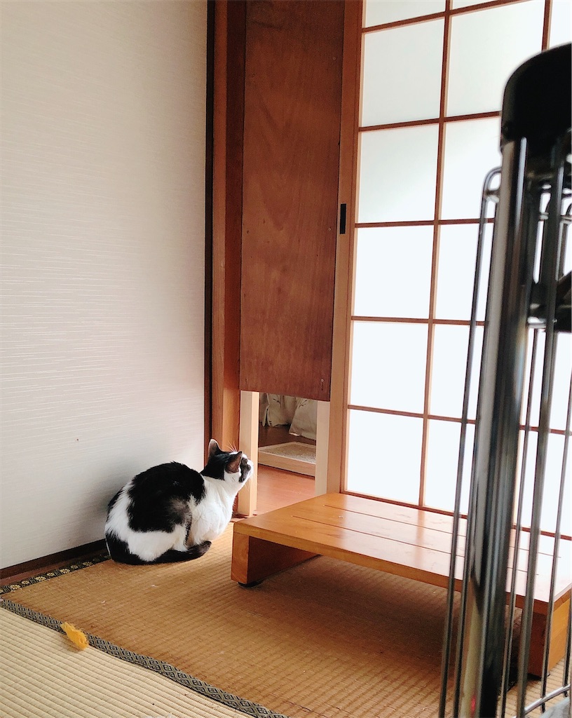 f:id:worldtrip216:20230217182912j:image