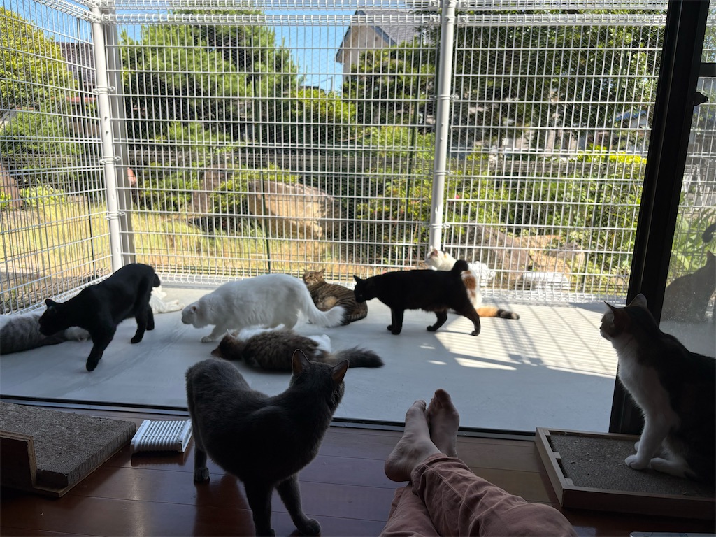 f:id:worldtrip216:20250604160150j:image