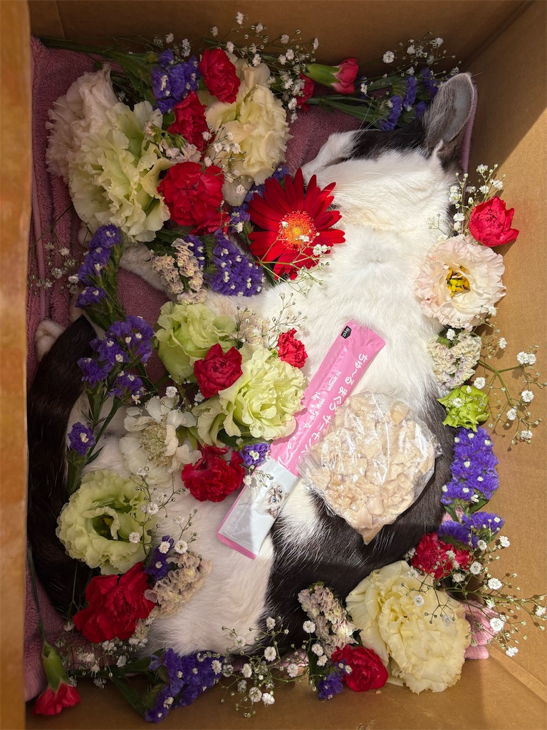 f:id:worldtrip216:20260713111455j:image