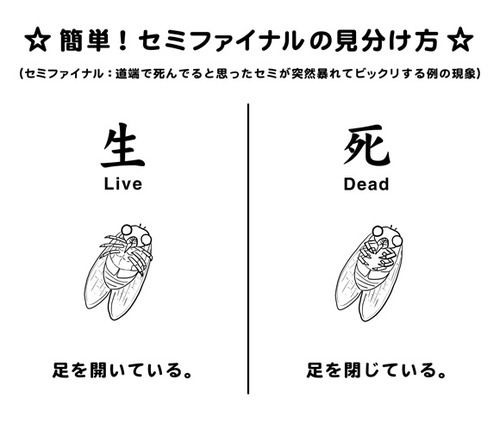 f:id:worldwalk-motorcycle:20160805130735j:plain f:id:worldwalk-motorcycle:20160805130735j:plain