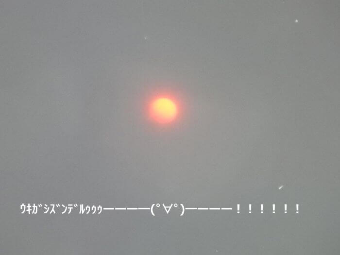 アジが仕掛けに掛かってウキが沈んでいる写真