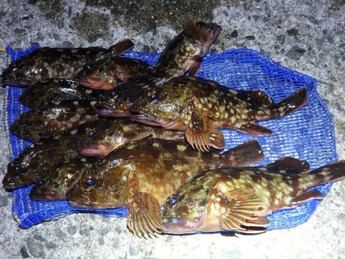 防寒着 真冬でも夜釣りに行く私の服装と防寒対策 もう1匹釣りたいっ