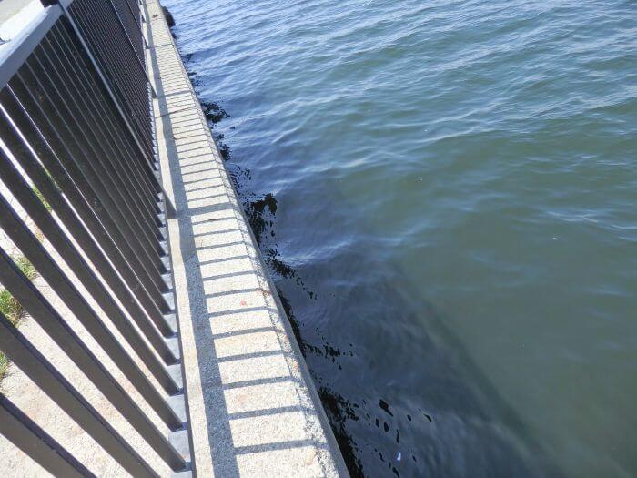 アブシンが釣れる堤防の際の写真