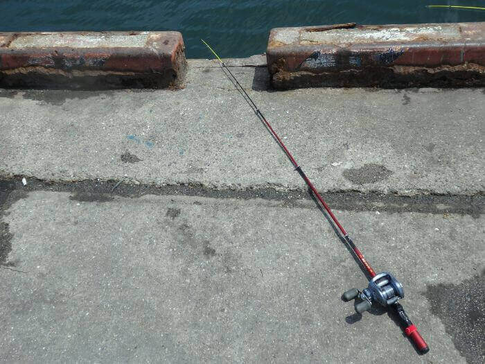 アブシンを置き竿で狙っている写真