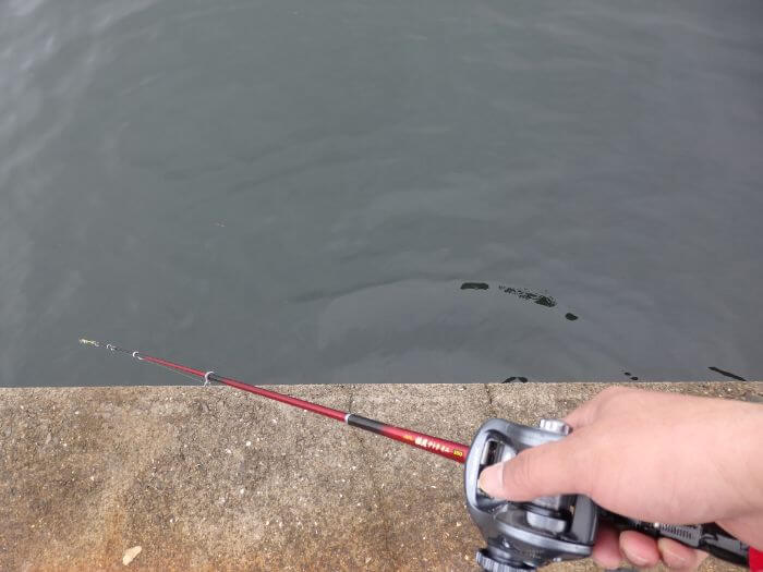 堤防際の探り釣りでアブシンを狙っている釣竿の写真