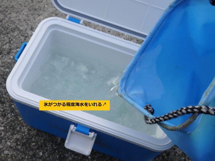 クーラーボックスに海水を入れて氷水を作っている写真