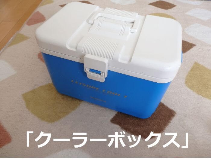 サビキ釣りで使うクーラーボックスの写真
