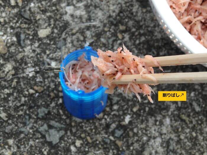 割りばしを使ってアミエビをサビキカゴに入れている写真