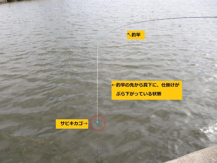 サビキ釣りで使用する仕掛けを釣竿の先からたらしている写真
