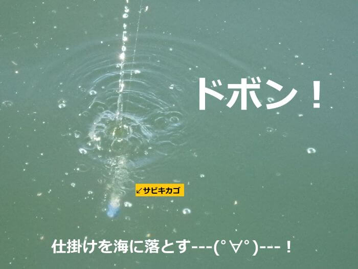 サビキ仕掛けを海に落した写真