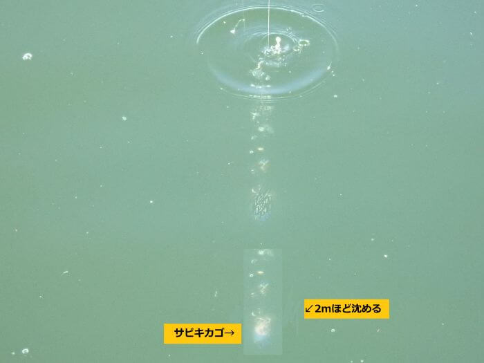 サビキ仕掛けを2mほど水中に沈めている写真