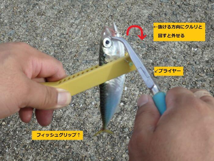 釣れた魚からフィッシュグリップとプライヤーを使ってハリを外している写真