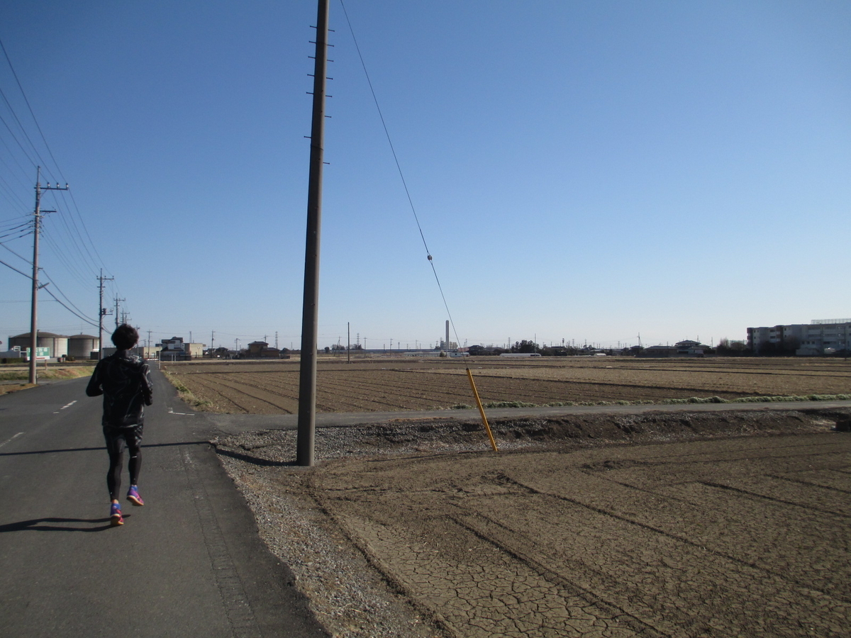 f:id:wotarun:20190404134652j:plain