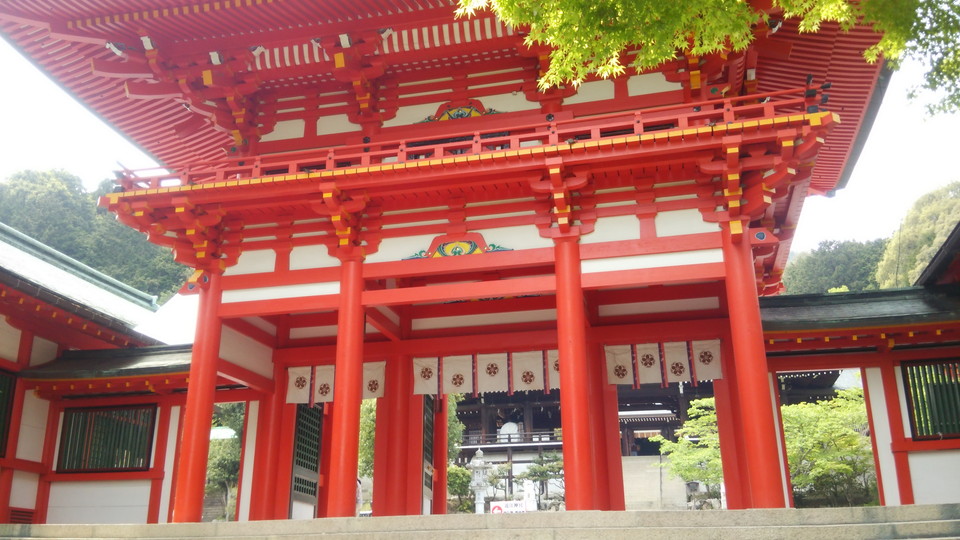 f:id:wotarun:20190424085816j:plain