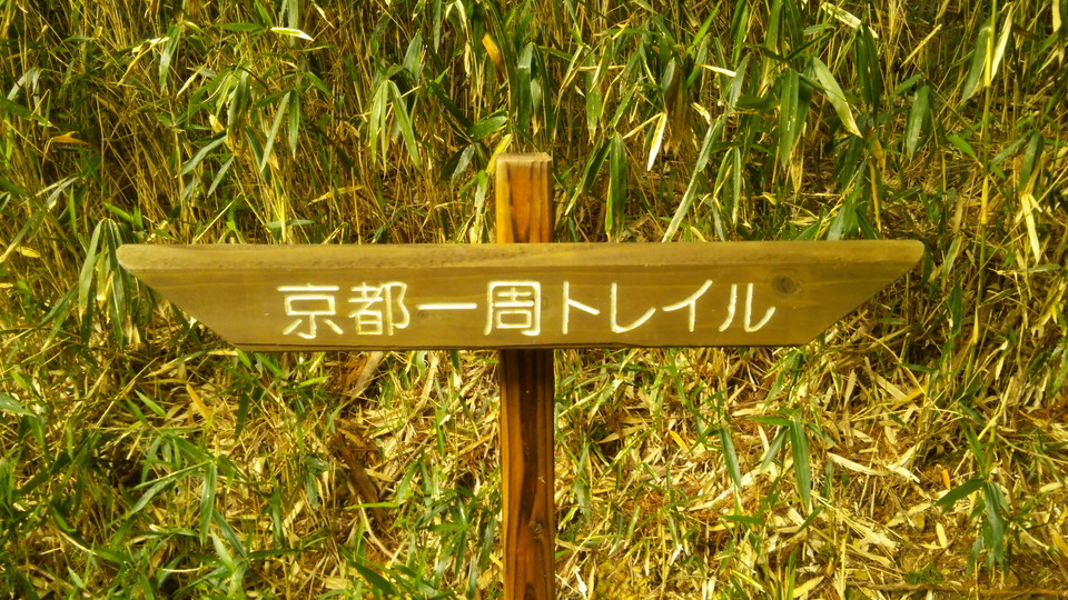f:id:wotarun:20190424092446j:plain