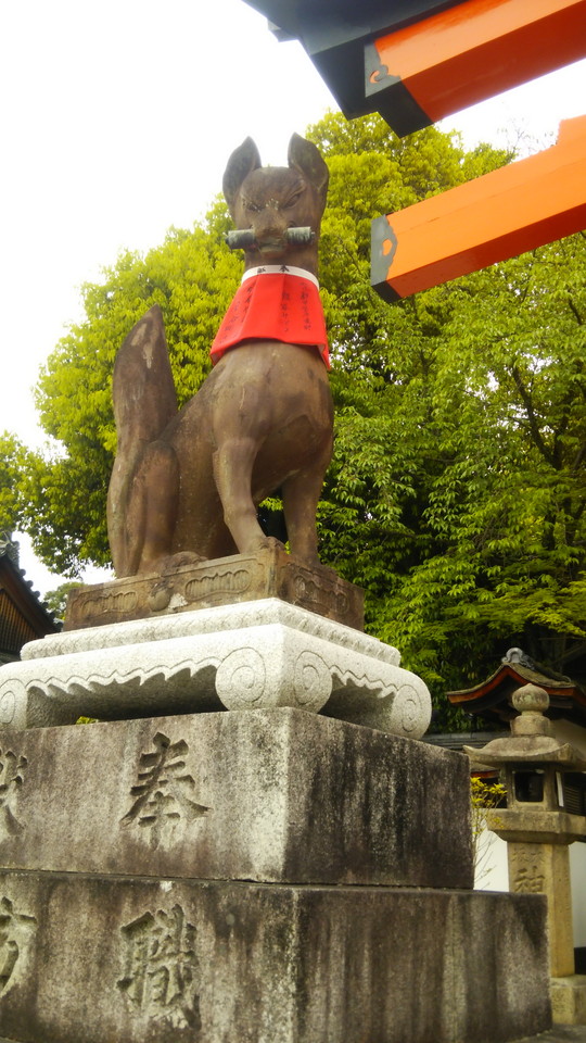 f:id:wotarun:20190424112855j:plain