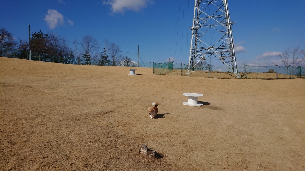 f:id:wowed:20190203114027j:plain