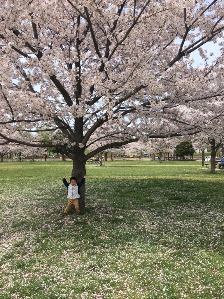 舎人公園 足立区 子供の遊び場 公園情報 お花見 意外と子育てしやすい世の中です 舎人公園 足立区 子供の遊び場 公園情報 お花見 意外と子育てしやすい世の中です