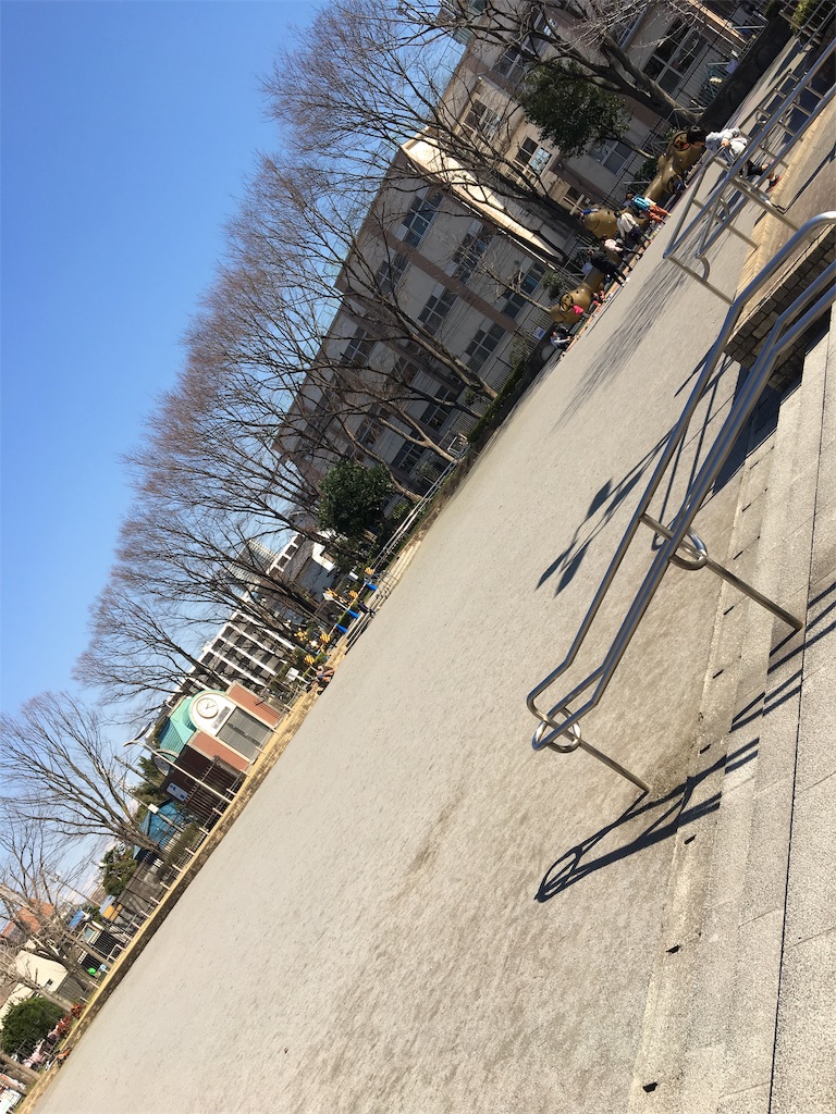 f:id:wpeisuke:20190312235306j:plain